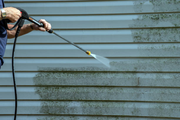 Best Sidewalk Pressure Washing  in Kalona, IA