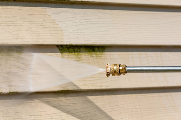 Best Power Washing Near Me  in Kalona, IA